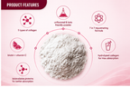 Velmora Multi Collagen 5X™ | Fórmula Avanzada de Colágeno
